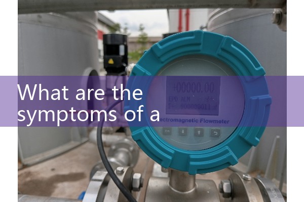 ultrasonic flow sensor|heat flow meter